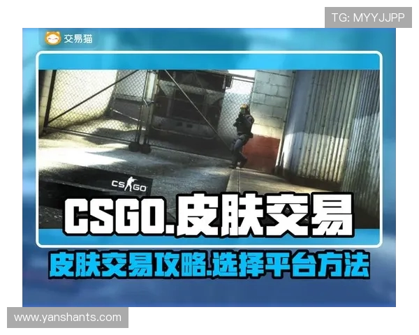 CSGO饰品模板到底怎么用？哪个网站靠谱点？怎么才能避免被骗？